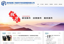 正安城市开发投资集团有限公司